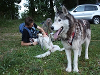 Huskies Erleben