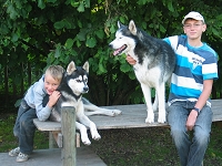 Huskies Erleben