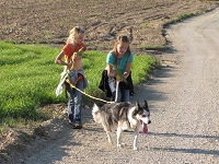 Huskies Erleben
