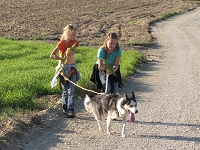 Huskies Erleben