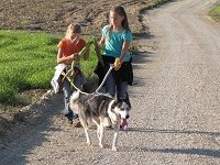 Huskies Erleben