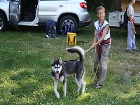 Huskies Erleben