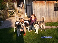 Huskies Erleben