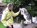 Huskies Erleben