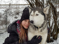 Huskies Erleben